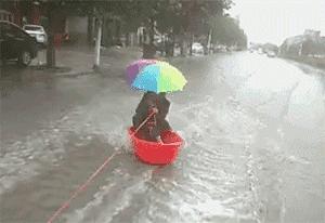 河北绿色秘境，探秘那片遗忘的仙境