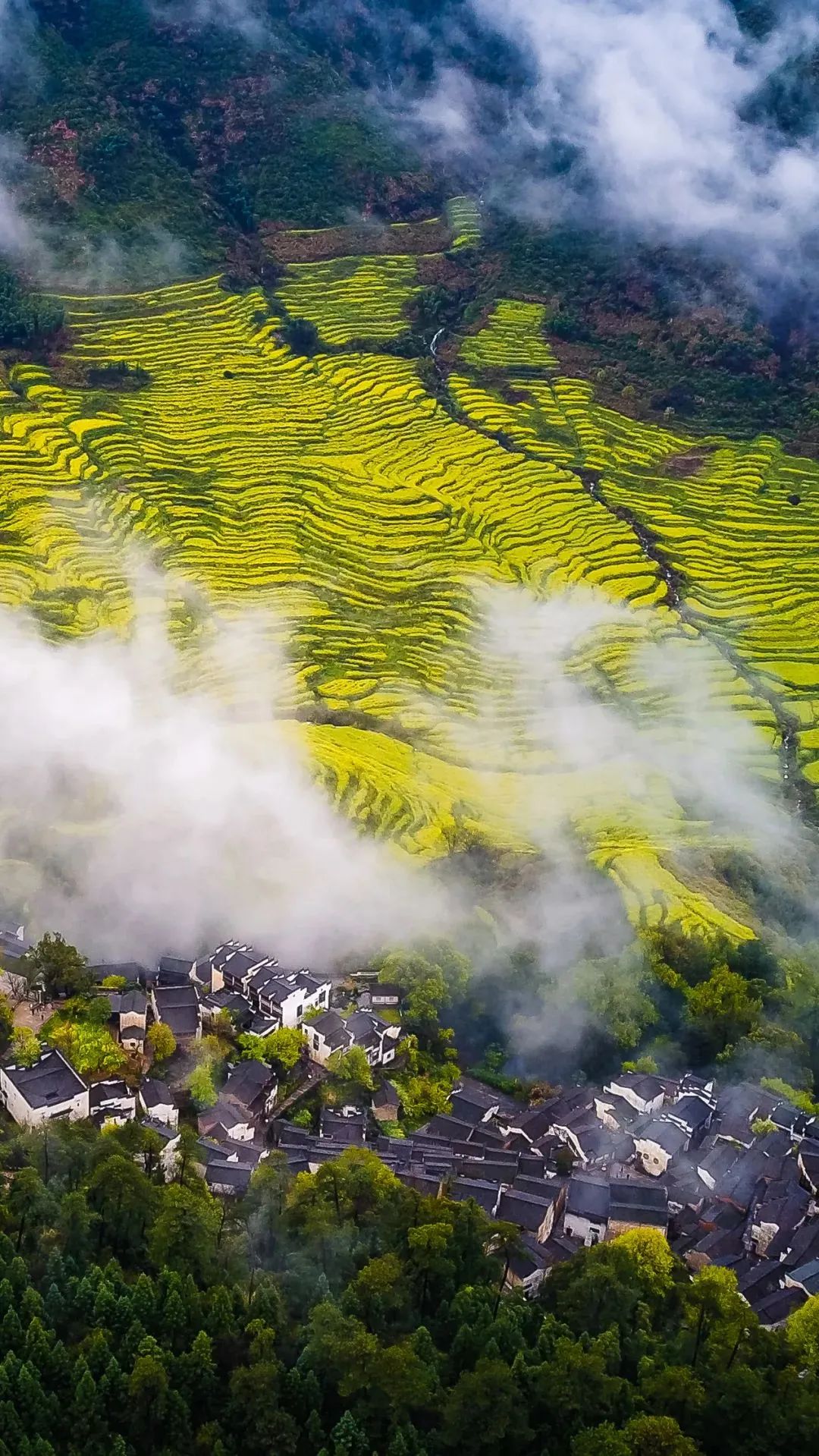 江西，历史长河中的耀眼明珠