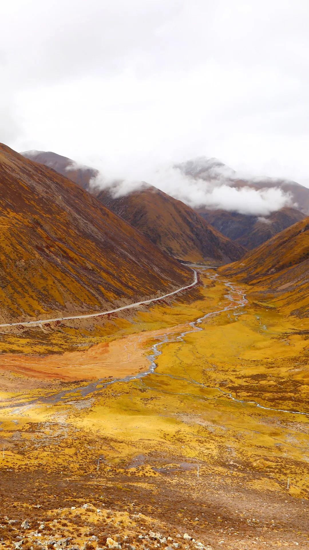 拉萨小巷深处的藏味秘境，文化与味蕾的交融之旅