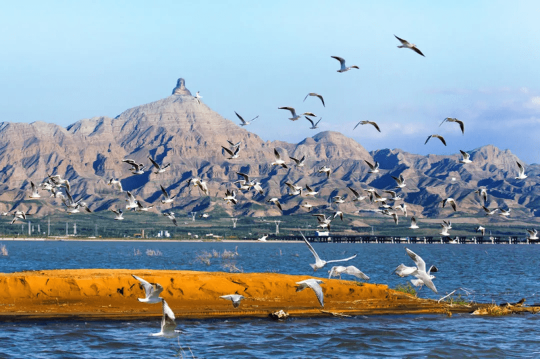 乌海，城市之声，听众心之所向