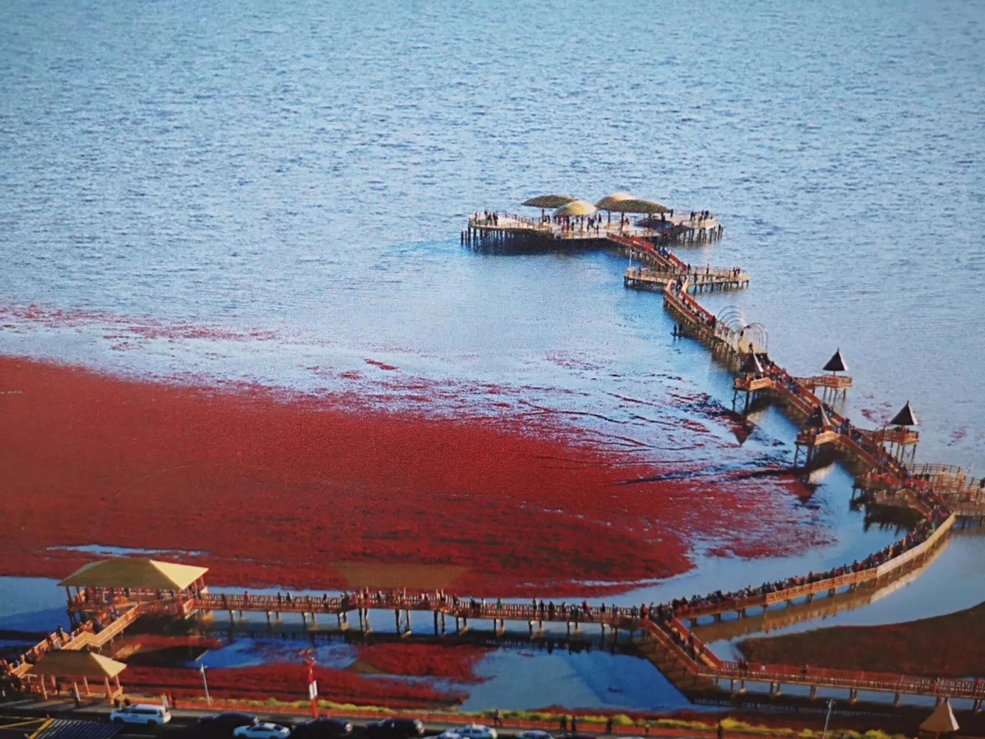 盘锦，多维视角下的解读