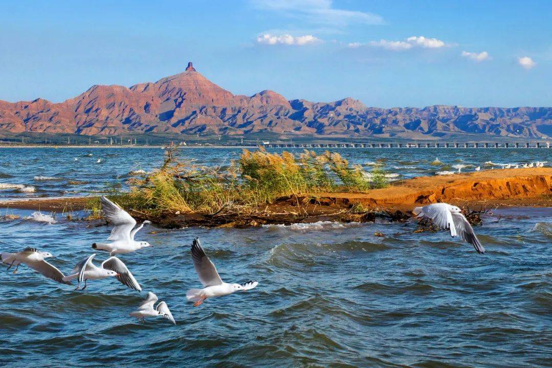 乌海，内蒙古璀璨明珠的探寻之旅