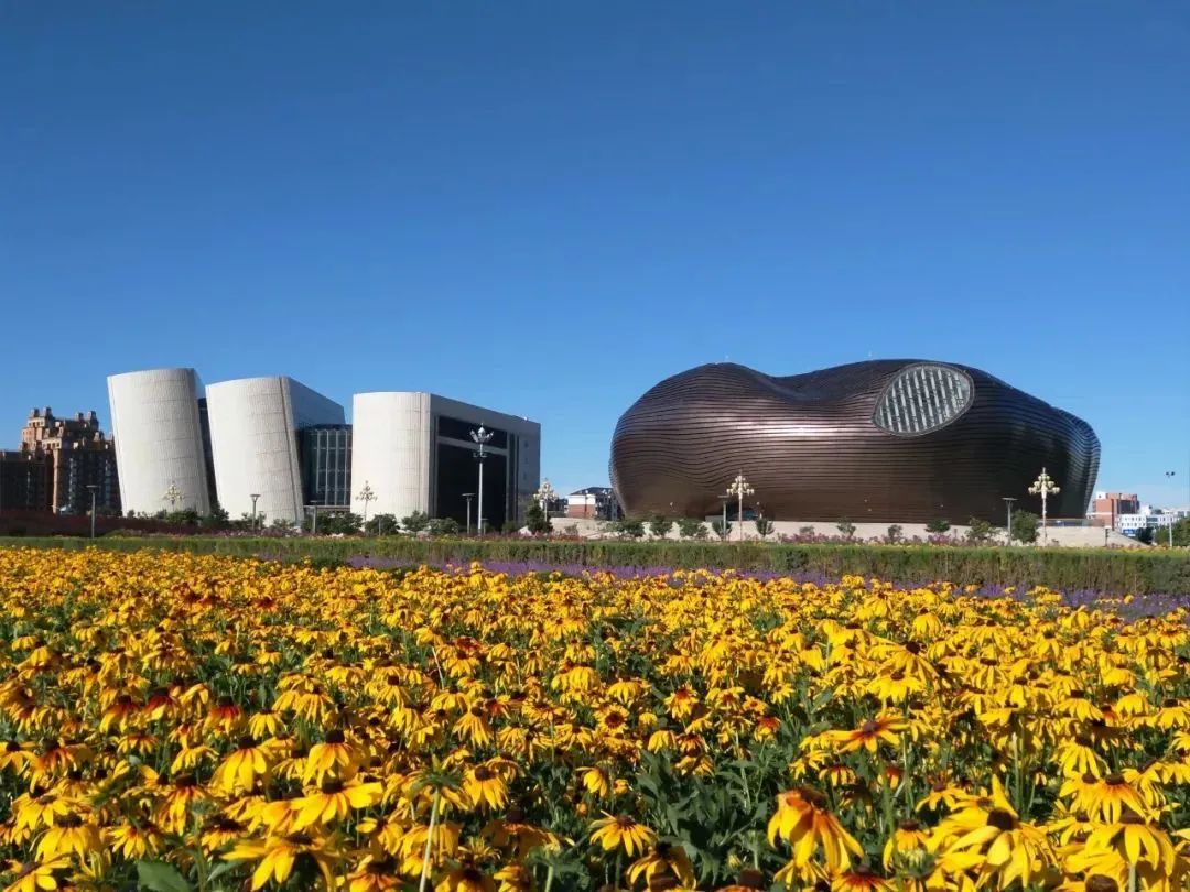 鄂尔多斯,探寻这座城市的独特魅力